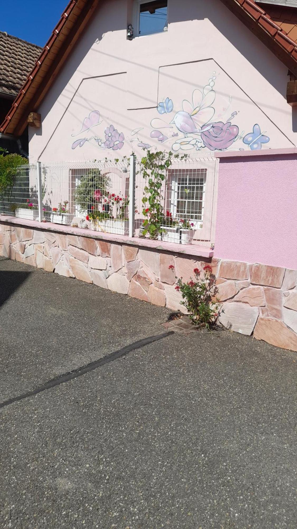 Olympe Villa Dessenheim Exterior photo